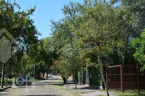 Image 33 - 232006
